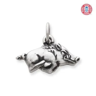 Arkansas University Razorback Charm
