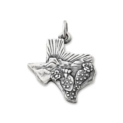 Texas Landscape Charm